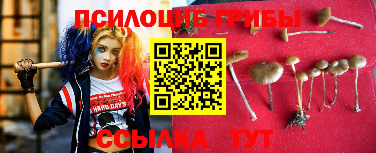 Мефедрон Нижний Новгород