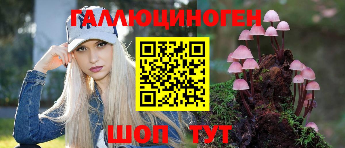 Галлюциногенные грибы Psilocybine cubensis Нижний Новгород